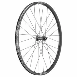 Dt-swiss Roue Avant VTT DT Swiss E 1900 Spline 29" Disque Center Lock